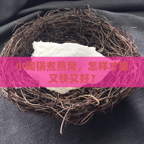 小陶锅煮燕窝怎么煮的好