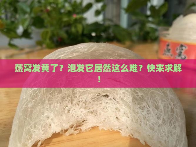 燕窝发黄要怎么泡发呢