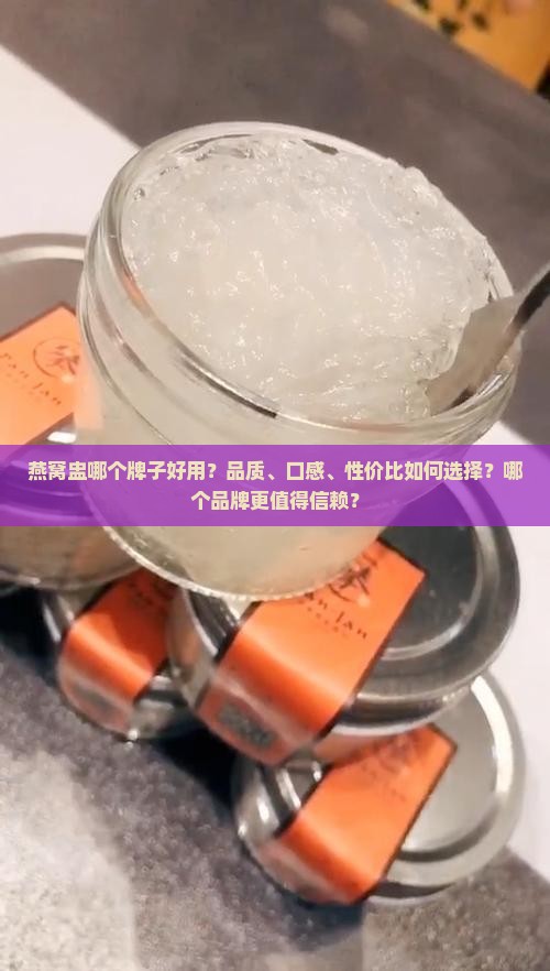 燕窝盅哪个牌子好用点