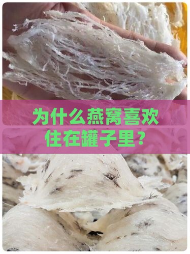 燕窝为什么要用罐子保存
