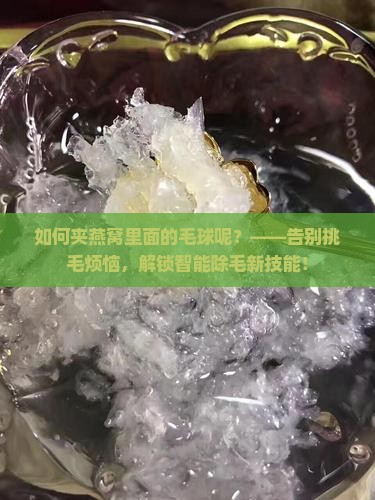 如何夹燕窝里面的毛球呢