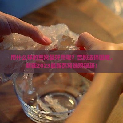 用什么样的燕窝最好用呢