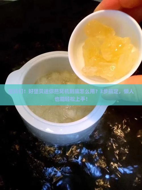 好堡贝迷你燕窝机怎么用