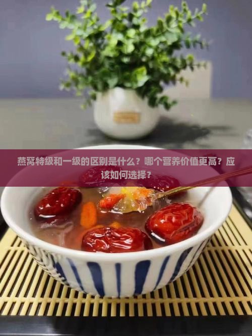 燕窝特级和一级哪个好