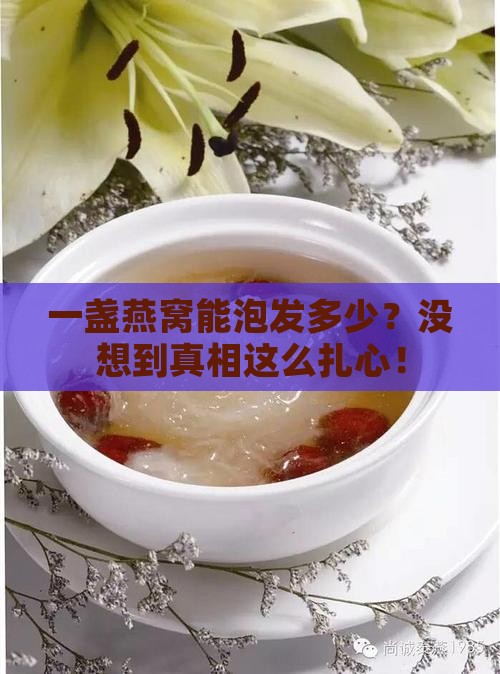 燕窝一盏能泡发多少钱