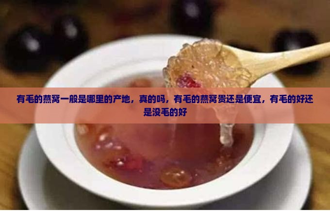 有毛的燕窝一般是哪里的