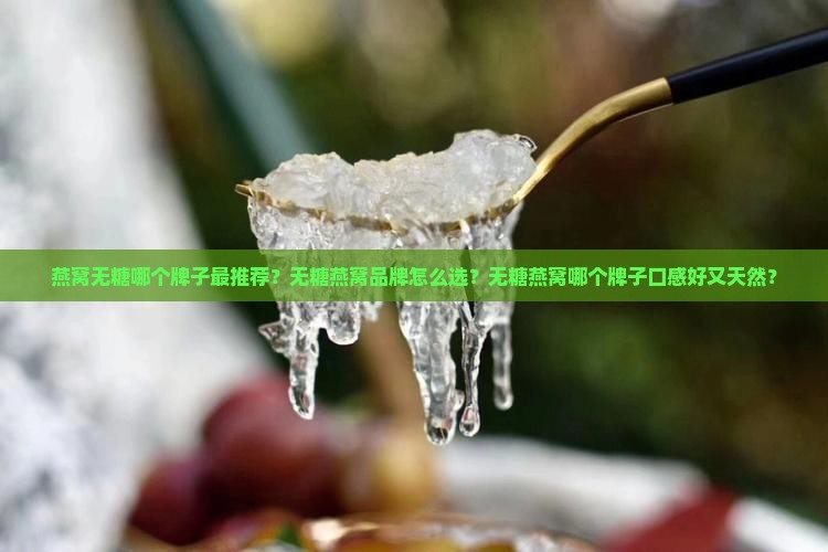 燕窝无糖推荐哪个牌子