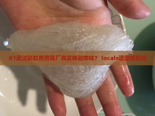 #1武汉彩虹燕燕窝厂真实体验咋样？ locals透露感震惊