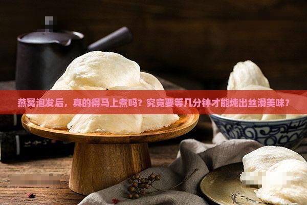 燕窝泡发后，真的得马上煮吗？究竟要等几分钟才能炖出丝滑美味？
