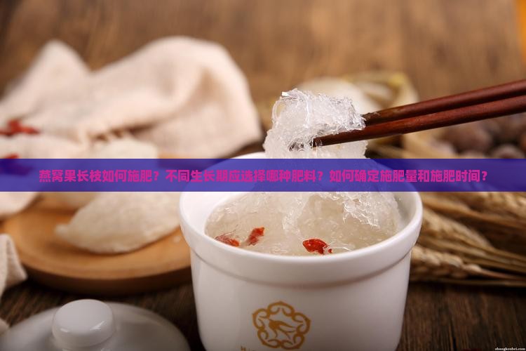 燕窝果长枝如何施肥？不同生长期应选择哪种肥料？如何确定施肥量和施肥时间？