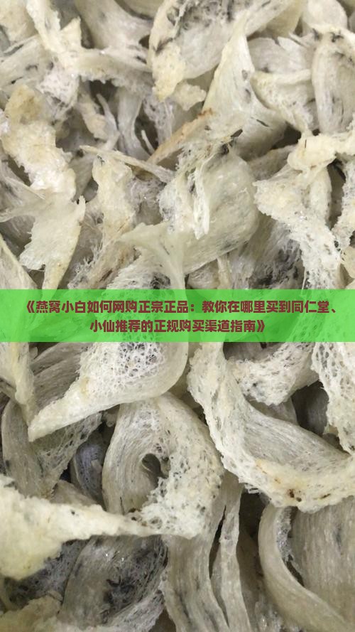 《燕窝小白如何网购正宗正品：教你在哪里买到同仁堂、小仙推荐的正规购买渠道指南》