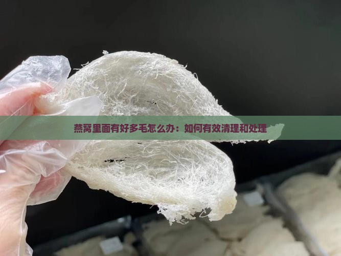 燕窝里面有好多毛怎么办：如何有效清理和处理
