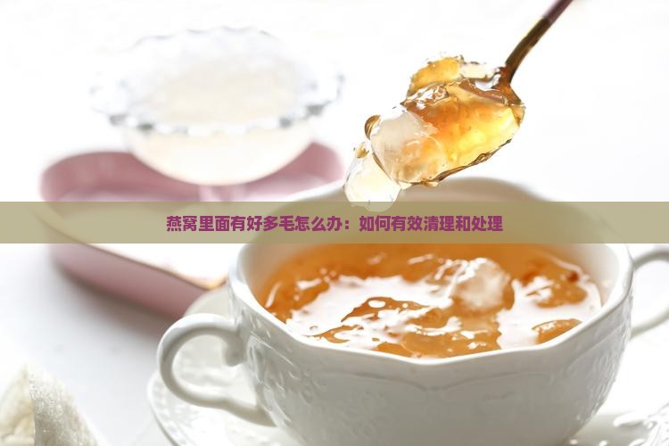 燕窝里面有好多毛怎么办：如何有效清理和处理
