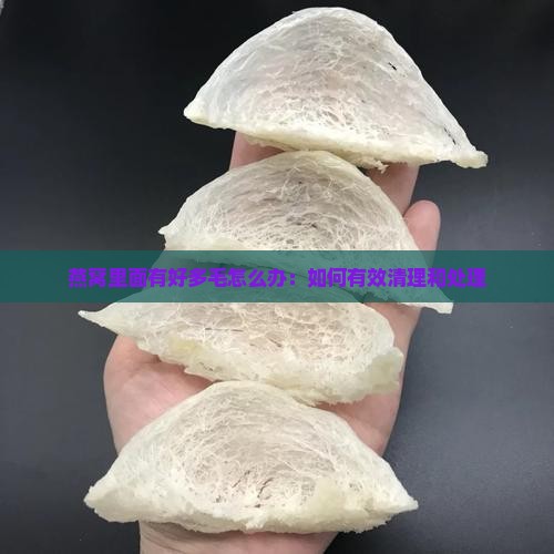 燕窝里面有好多毛怎么办：如何有效清理和处理