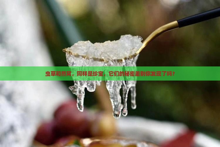 虫草和燕窝，同样是珍宝，它们的秘密差别你发现了吗？