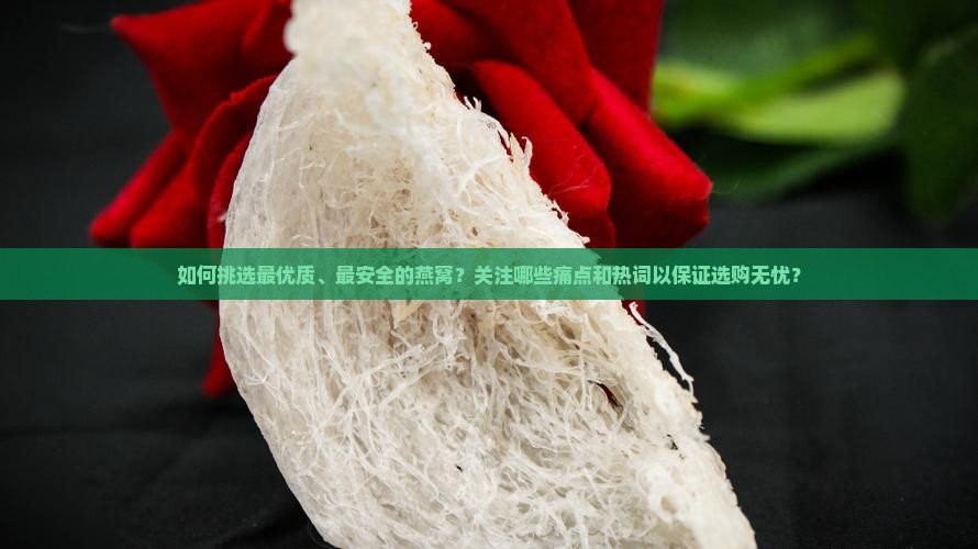 如何挑选最优质、最安全的燕窝？关注哪些痛点和热词以保证选购无忧？