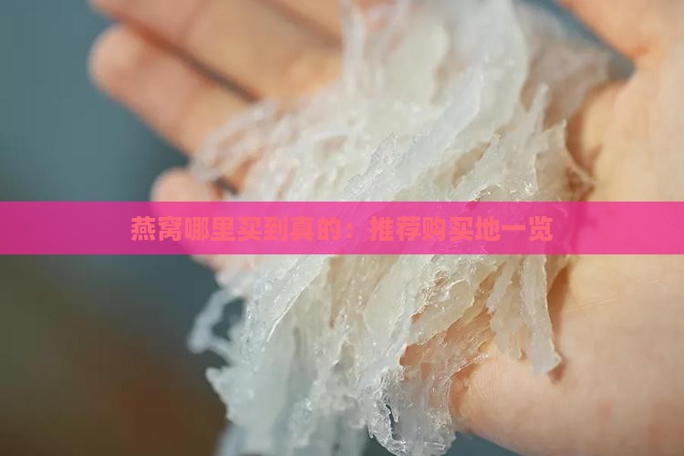 燕窝哪里买到真的：推荐购买地一览