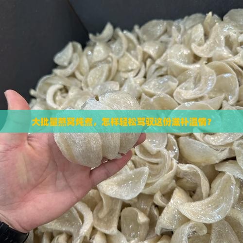 大批量燕窝炖煮，怎样轻松驾驭这份滋补温情？