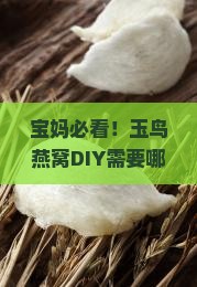 宝妈必看！玉鸟燕窝DIY需要哪些材料？搞不定好着急