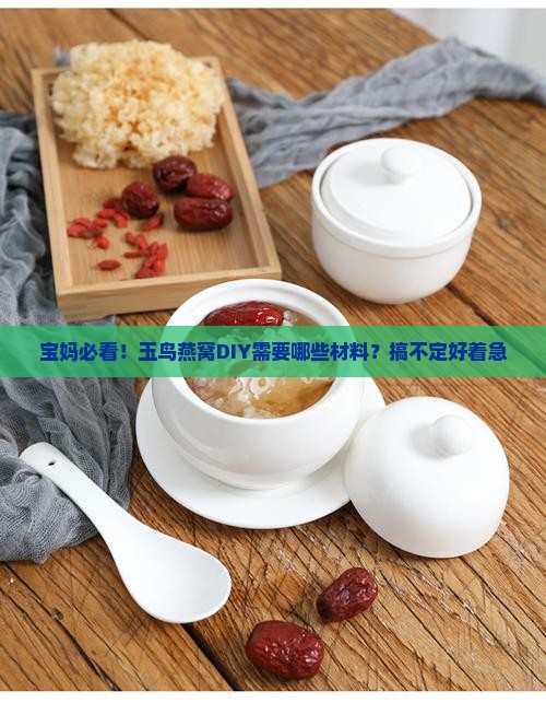 宝妈必看！玉鸟燕窝DIY需要哪些材料？搞不定好着急