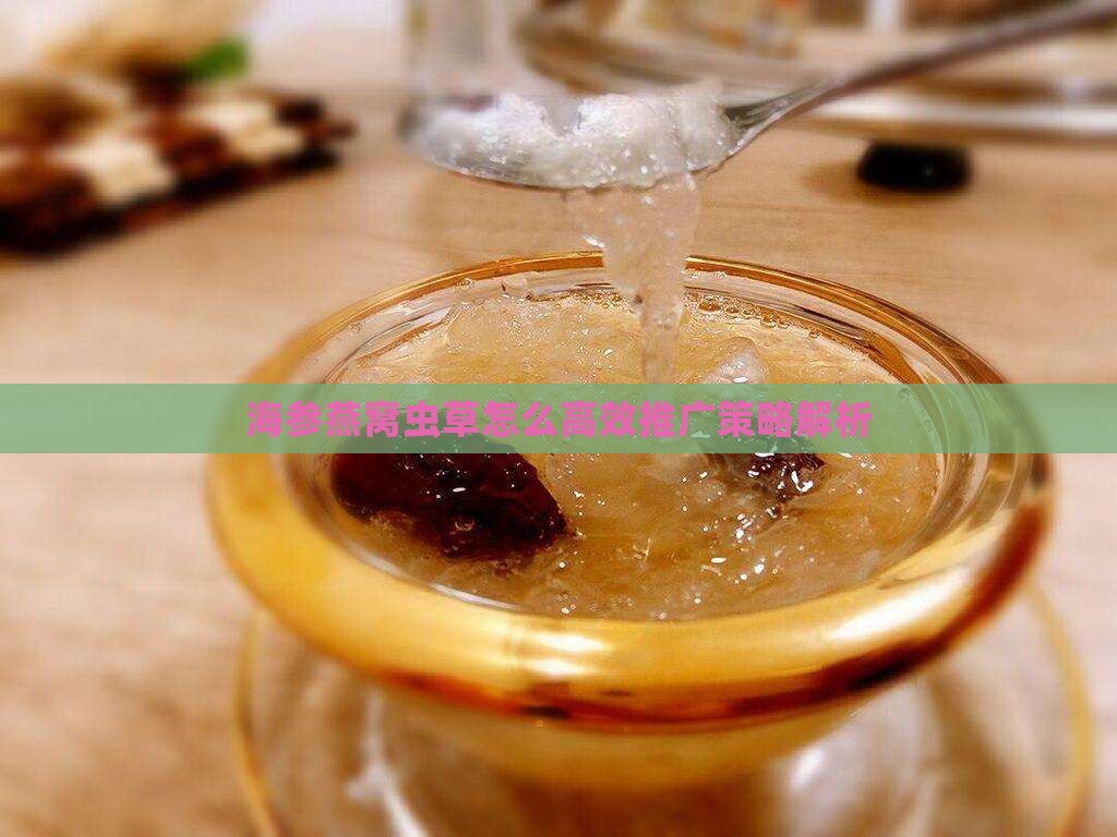 海参燕窝虫草怎么高效推广策略解析
