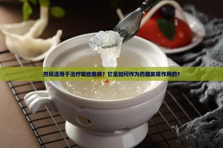 燕窝适用于治疗哪些疾病？它是如何作为药膳发挥作用的？