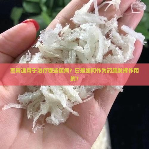 燕窝适用于治疗哪些疾病？它是如何作为药膳发挥作用的？