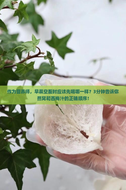作为营养师,早晨空腹时应该先喝哪一样?3分钟告诉你燕窝和西梅汁的正确顺序! 作为营养师,早晨空腹时应该先喝哪一样?3分钟告诉你燕窝和西梅汁的正确顺序!