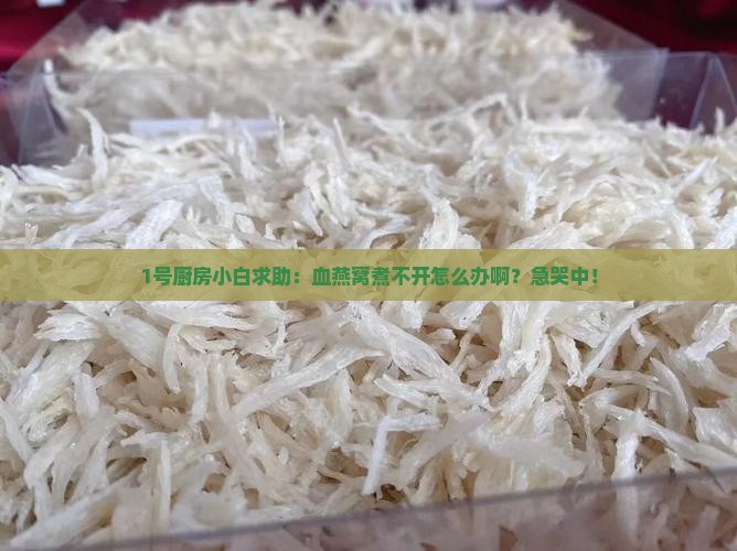 1号厨房小白求助:血燕窝煮不开怎么办啊?急哭中! 1号厨房小白求助:血燕窝煮不开怎么办啊?急哭中!