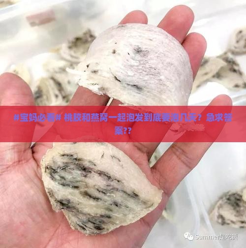 #宝妈必看# 桃胶和燕窝一起泡发到底要泡几天?急求答案?? #宝妈必看# 桃胶和燕窝一起泡发到底要泡几天?急求答案??