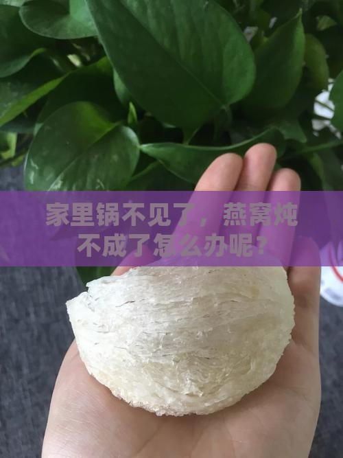 家里锅不见了,燕窝炖不成了怎么办呢? 家里锅不见了,燕窝炖不成了怎么办呢?