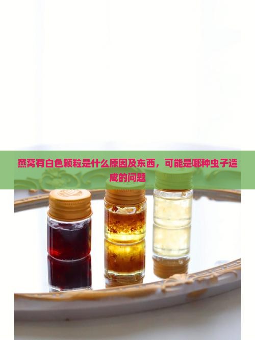 燕窝有白色颗粒是什么原因及东西，可能是哪种虫子造成的问题