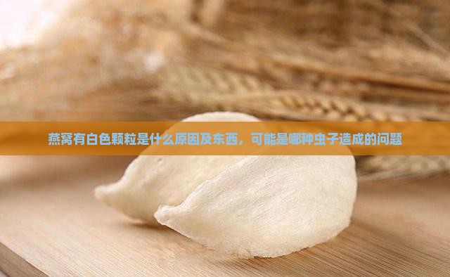 燕窝有白色颗粒是什么原因及东西，可能是哪种虫子造成的问题