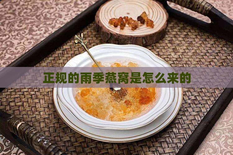 正规的雨季燕窝是怎么来的