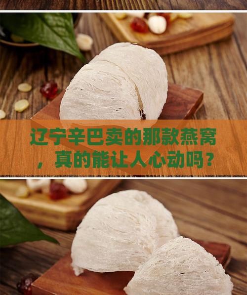 辽宁辛巴卖的那款燕窝，真的能让人心动吗？
