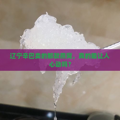 辽宁辛巴卖的那款燕窝，真的能让人心动吗？