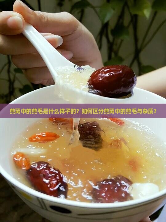 燕窝中的燕毛是什么样子的？如何区分燕窝中的燕毛与杂质？