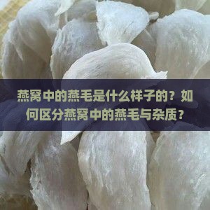燕窝中的燕毛是什么样子的？如何区分燕窝中的燕毛与杂质？