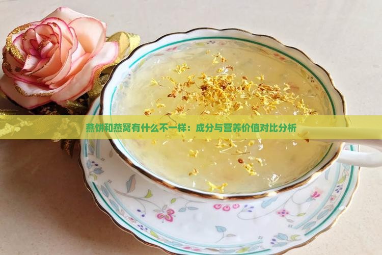 燕饼和燕窝有什么不一样：成分与营养价值对比分析