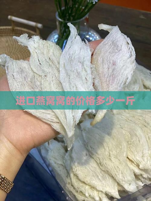 进口燕窝窝的价格多少一斤
