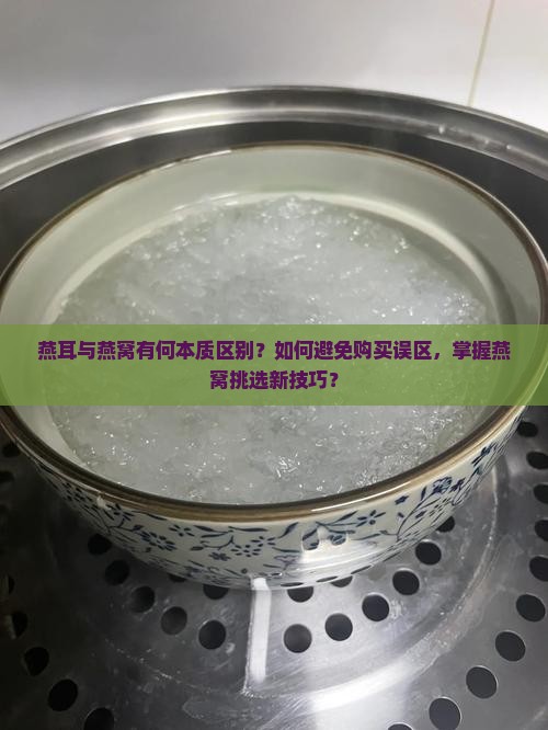 燕耳与燕窝有何本质区别？如何避免购买误区，掌握燕窝挑选新技巧？