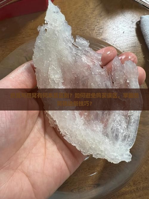 燕耳与燕窝有何本质区别？如何避免购买误区，掌握燕窝挑选新技巧？