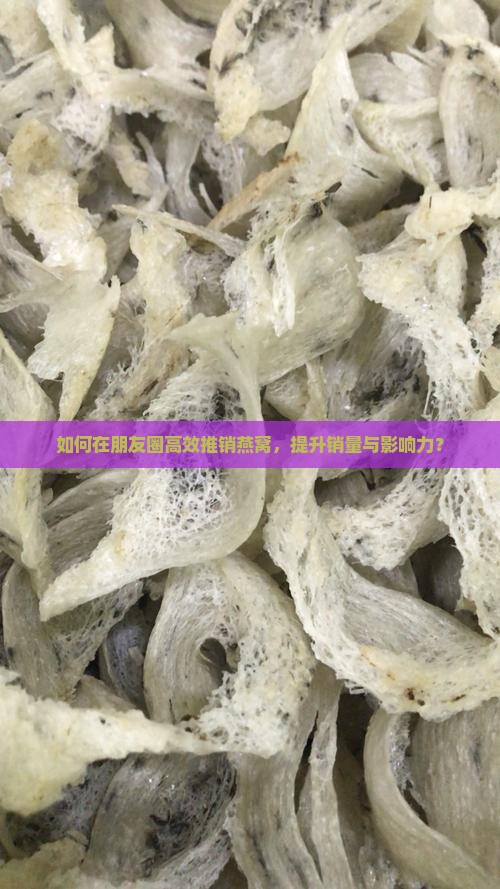 如何在朋友圈高效推销燕窝，提升销量与影响力？