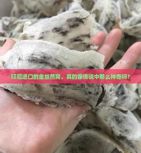 印尼进口的金丝燕窝，真的像传说中那么神奇吗？