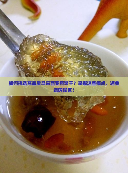 如何挑选高品质马来西亚燕窝干？掌握这些痛点，避免选购误区！