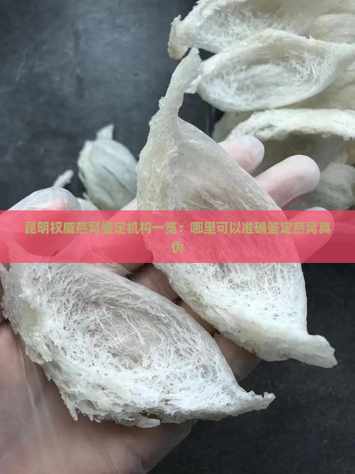 昆明权威燕窝鉴定机构一览：哪里可以准确鉴定燕窝真伪