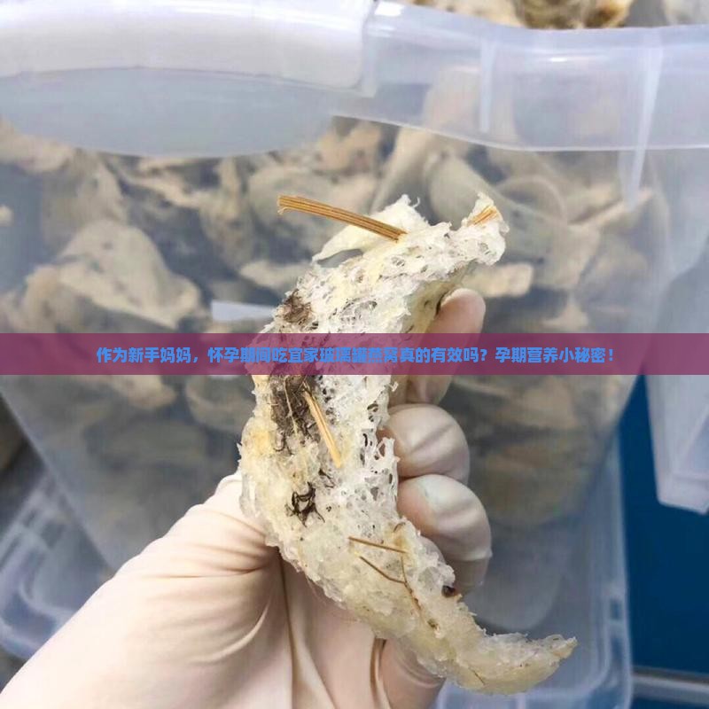 作为新手妈妈，怀孕期间吃宜家玻璃罐燕窝真的有效吗？孕期营养小秘密！