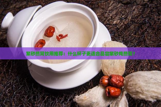 紫砂燕窝饮用推荐：什么杯子更适合品尝紫砂炖燕窝？