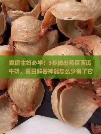 家庭主妇必学！3步做出燕窝西瓜牛奶，夏日解暑神器怎么少得了它？
