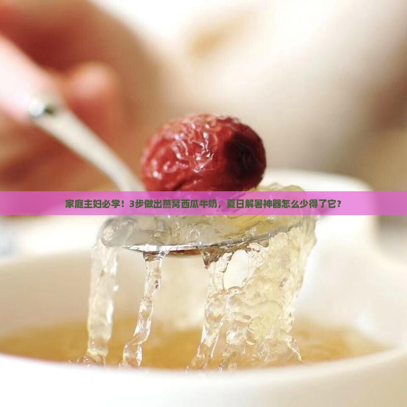 家庭主妇必学！3步做出燕窝西瓜牛奶，夏日解暑神器怎么少得了它？